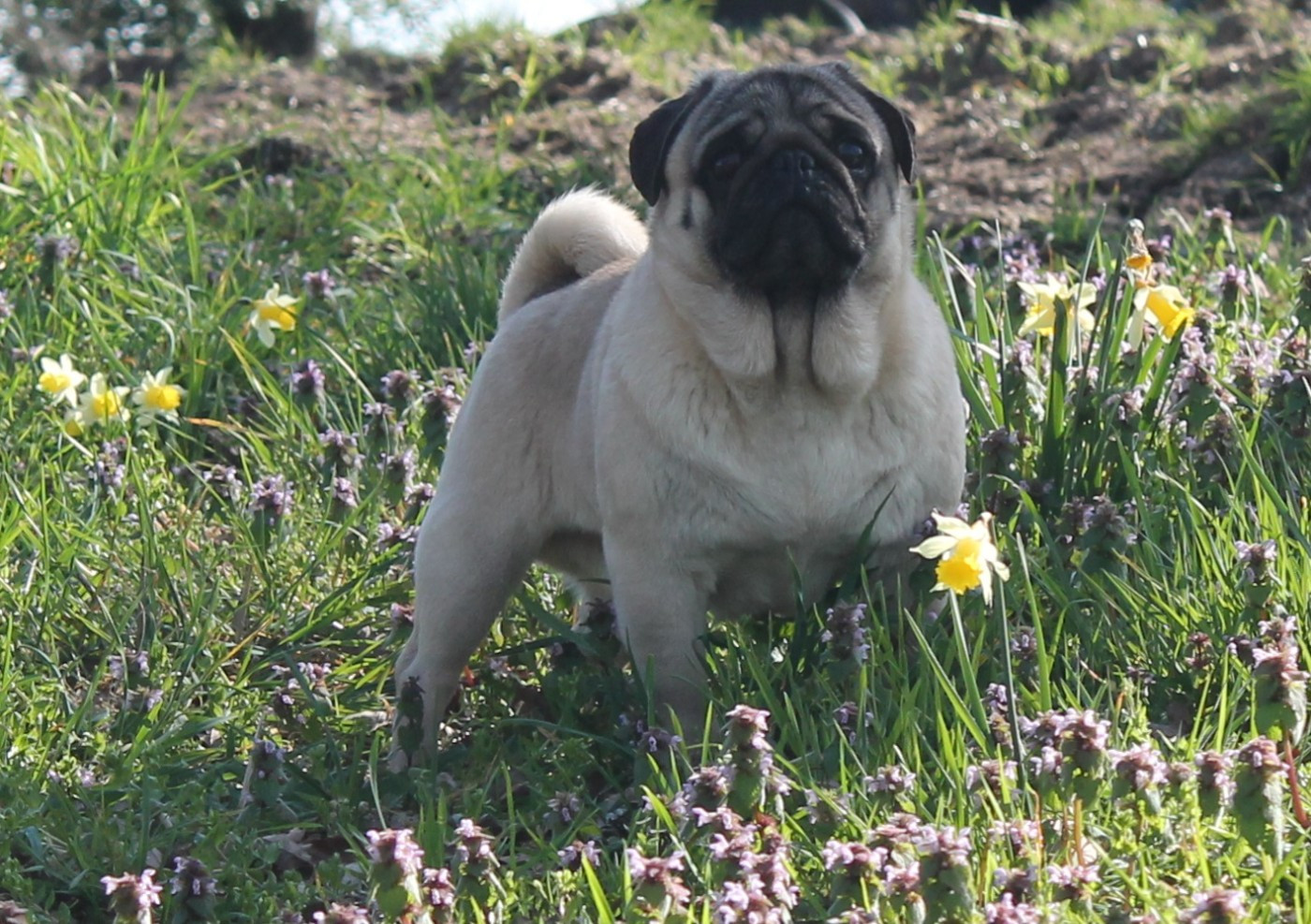 Unique Du Domaine Des Sabliers D'orion